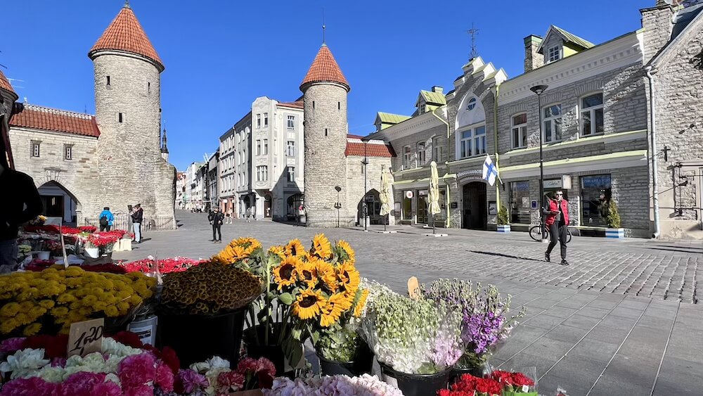 Tallinn, Viru gates